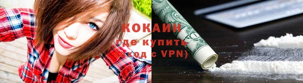прущие грибы Мегион