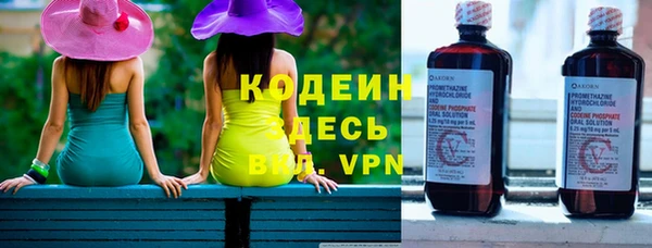 прущие грибы Мегион