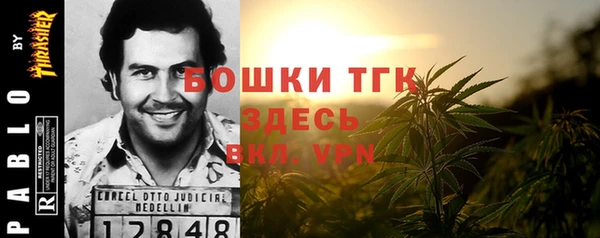 дмт Медвежьегорск