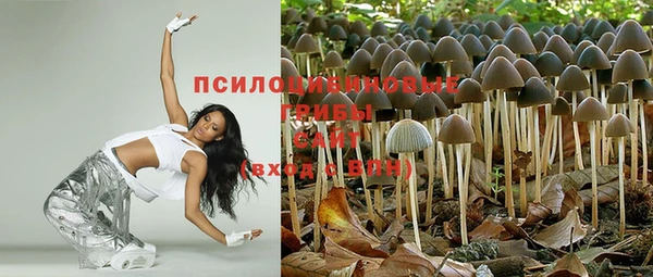 меф Медногорск