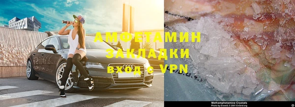 прущие грибы Мегион